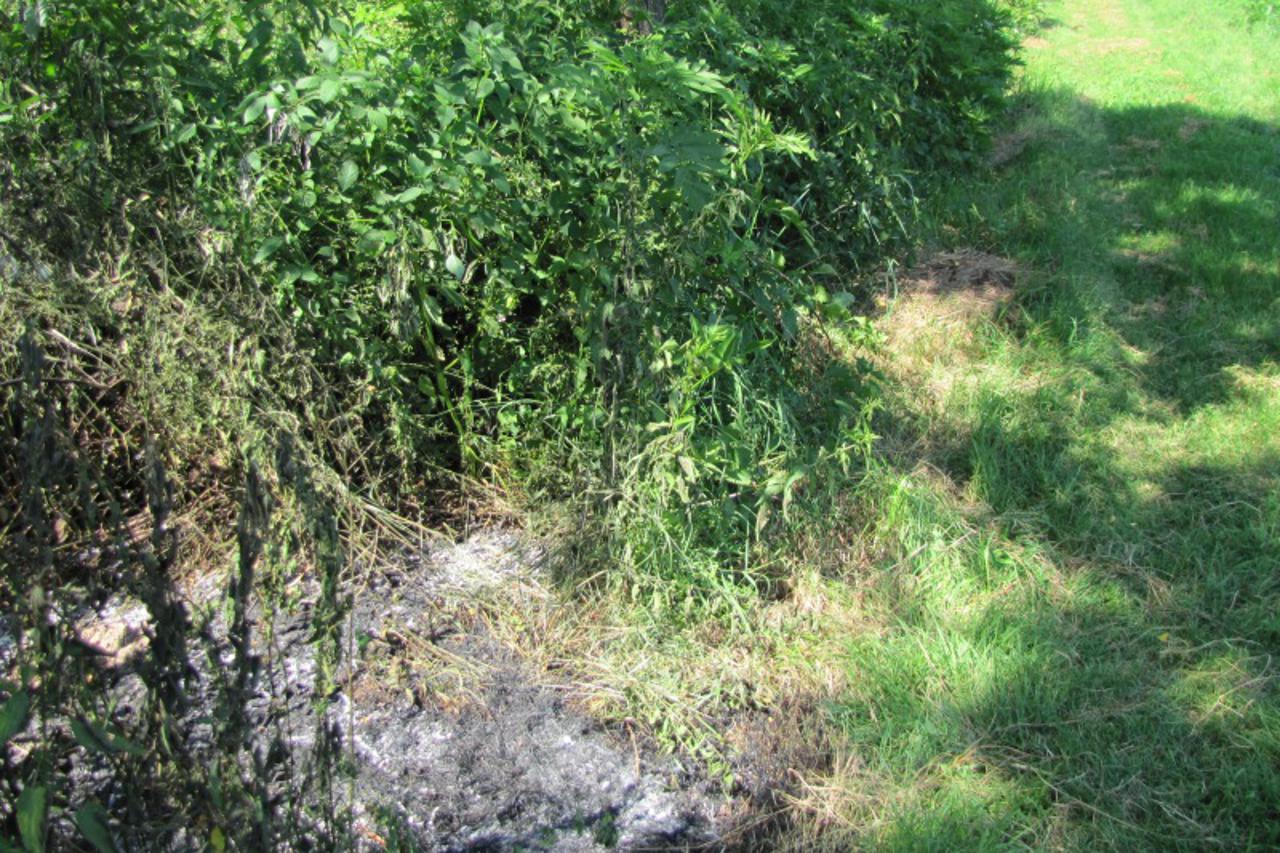 Voćnjak