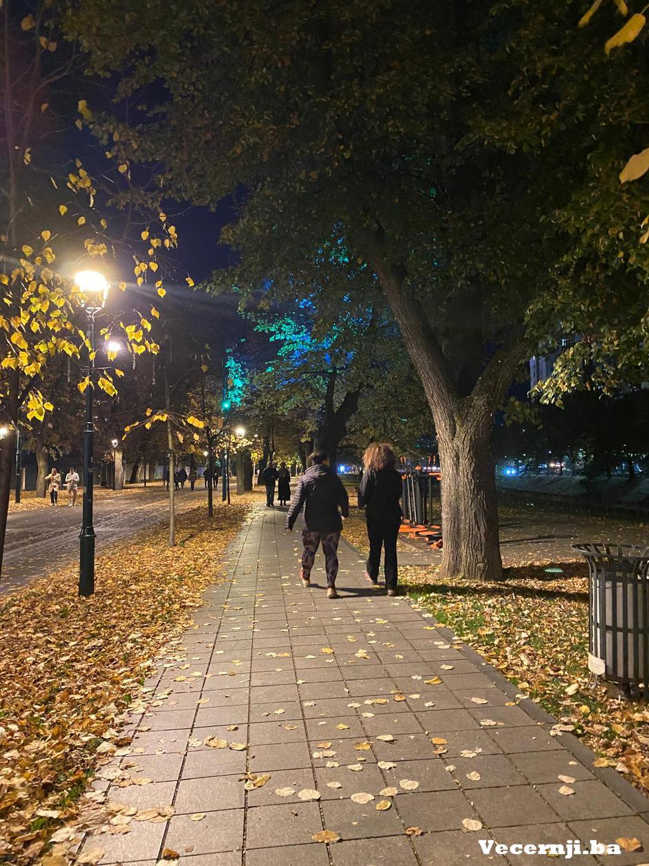 Vilsonovo