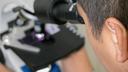 Virus za koji nema cjepiva ni lijeka širi se Europom: Najgore je u Italiji i Grčkoj