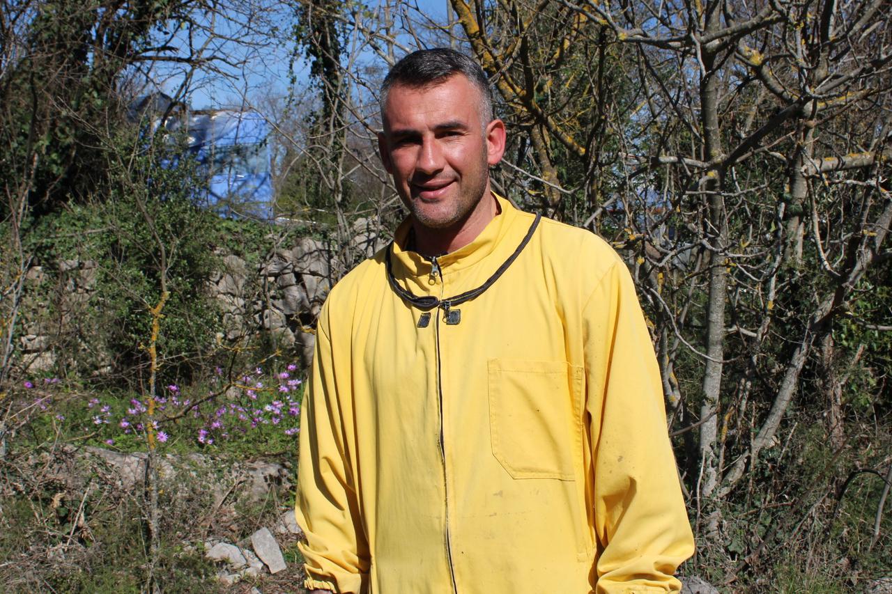 pčelar Matić