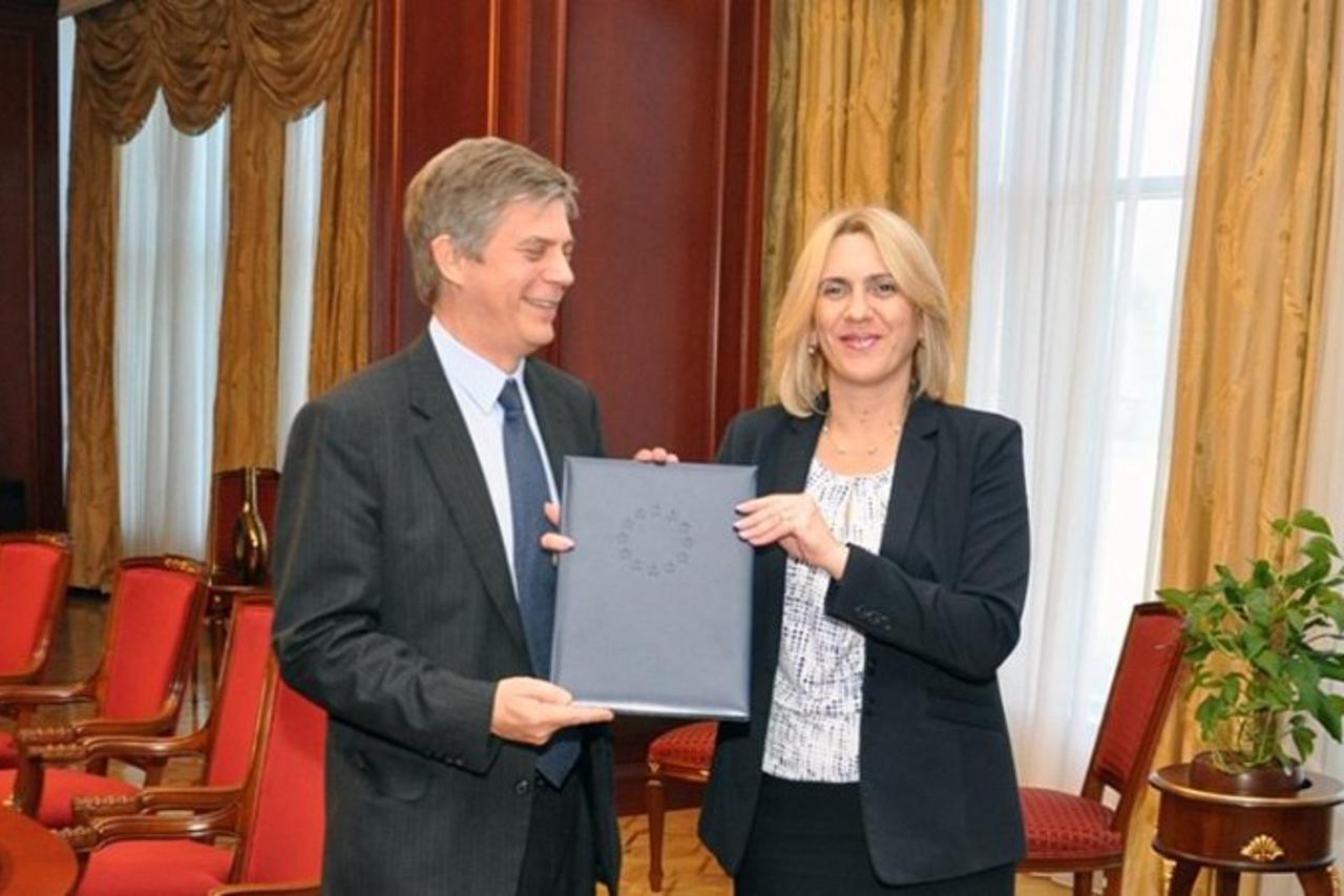 Cvijanović-Wigemark: 