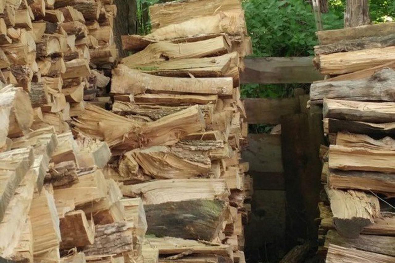 mačka