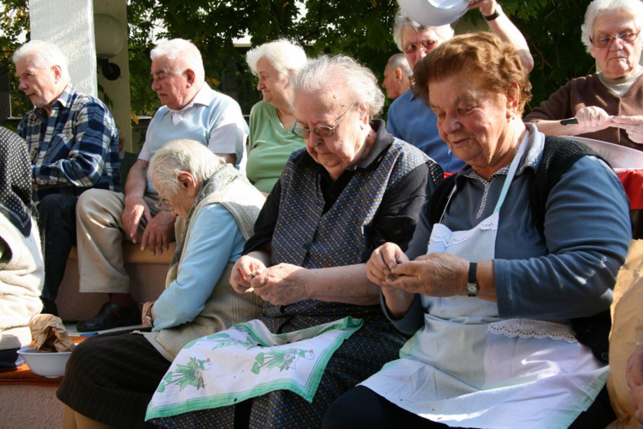 'karlovac odrzana je kestenijada u karlovackom domu umirovljenika sveti antun,umirovljenici su uzivali u drustvu,svirci i svjeze pecenim kestenima,081009 photo: dominik grguric/VLM'