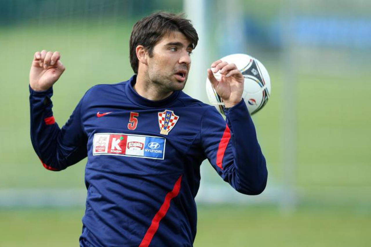 Vedran Ćorluka (1)