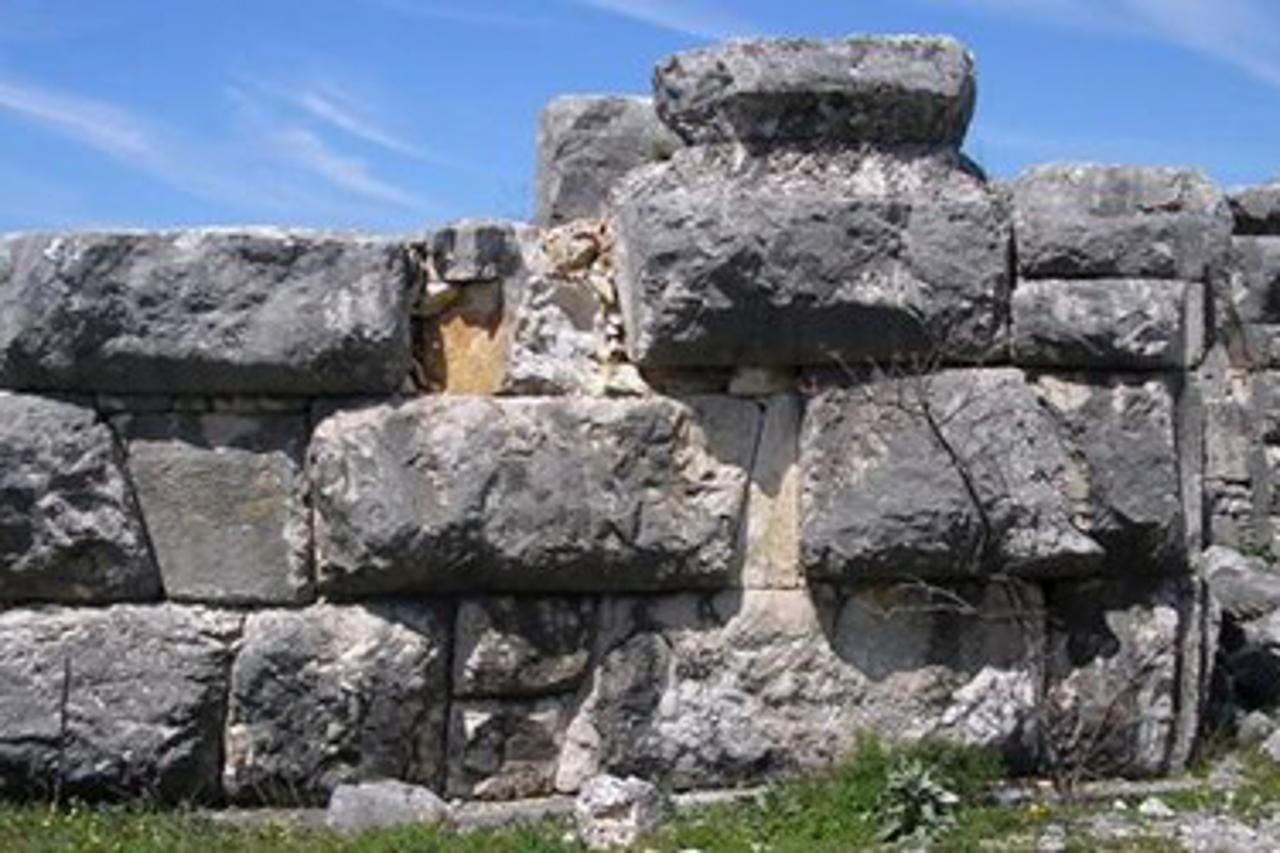 Vodič