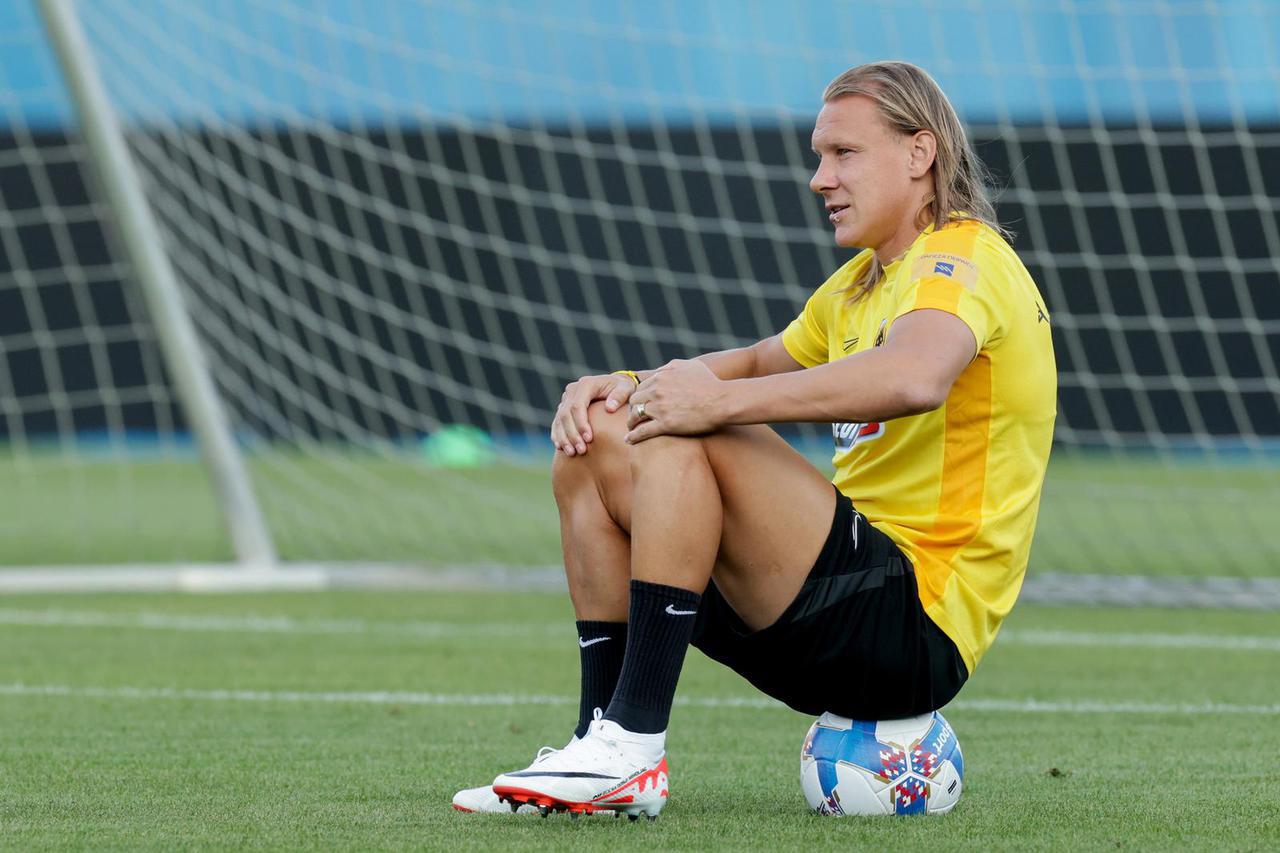 Domagoj Vida