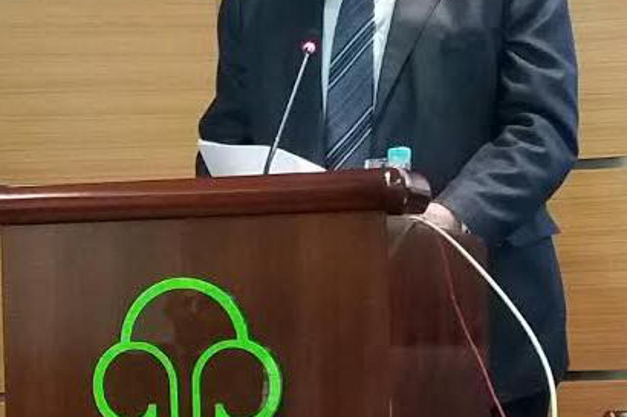 Dalipagić