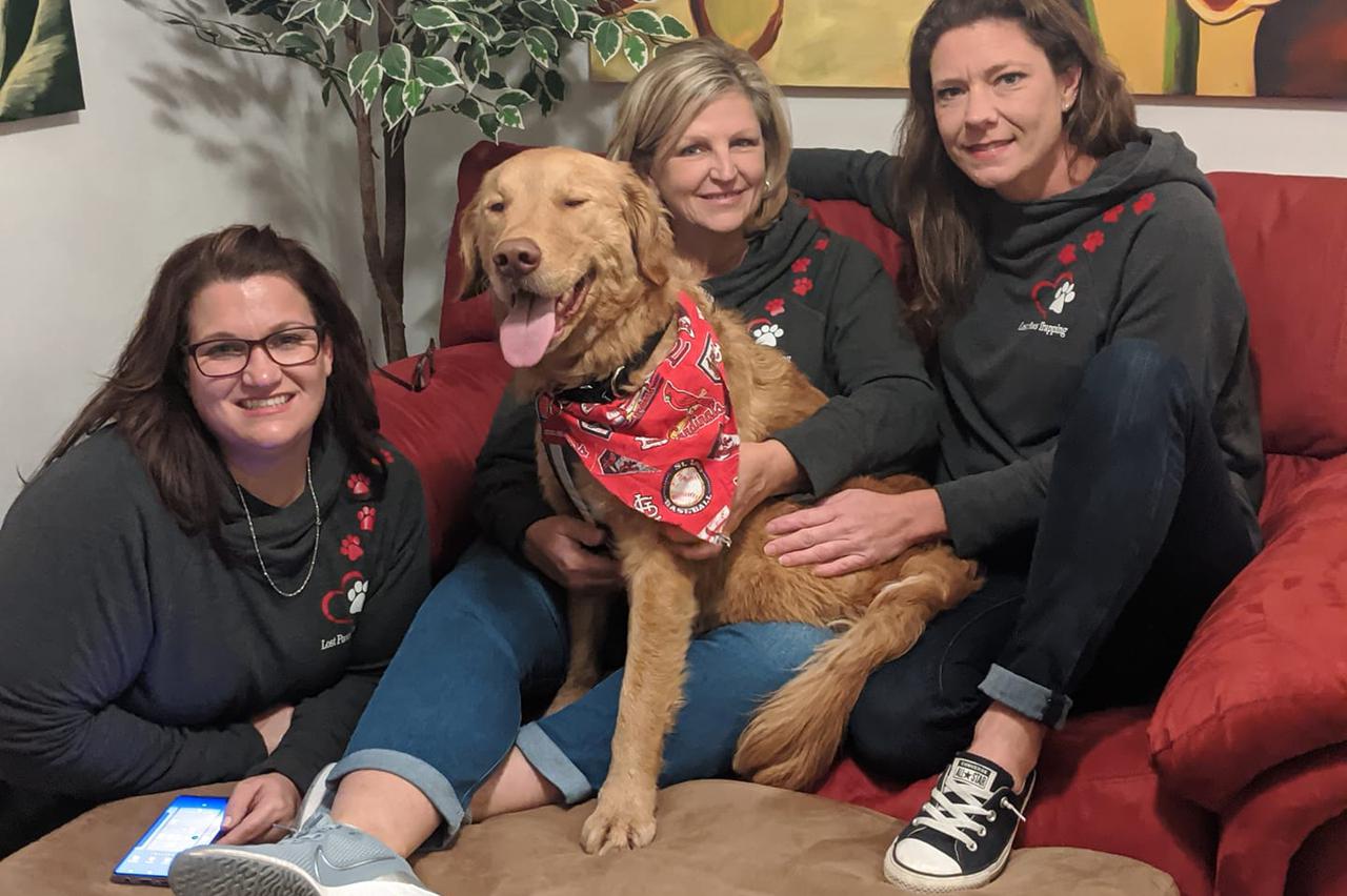 pas izgubljen nađen