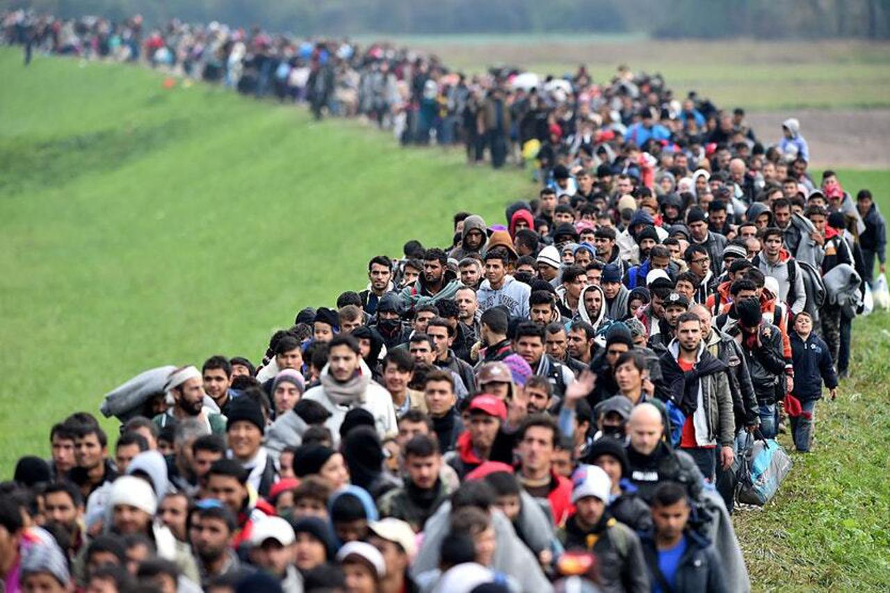 migranti