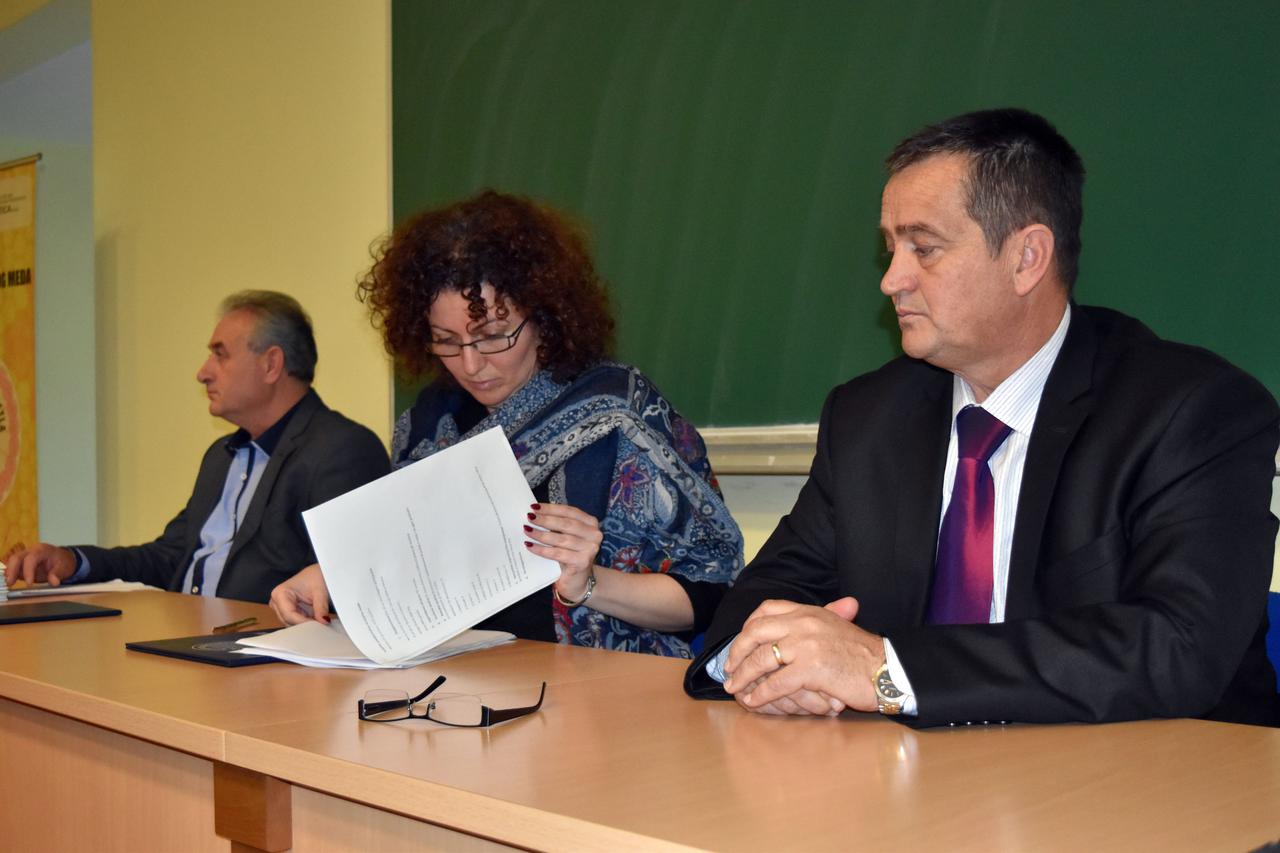 danimeda03_brs_bih_02122015