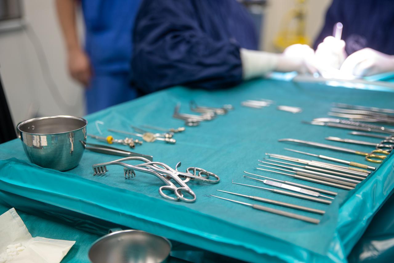 transplantacija