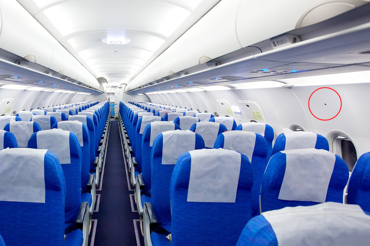 avion