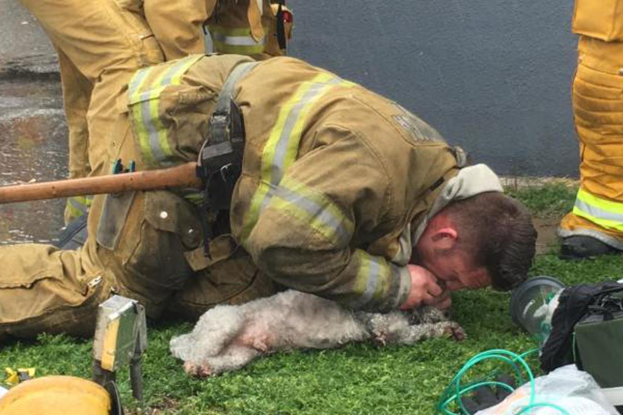 NIJE ŽELIO ODUSTATI