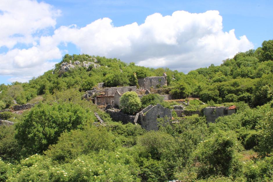 baljivac