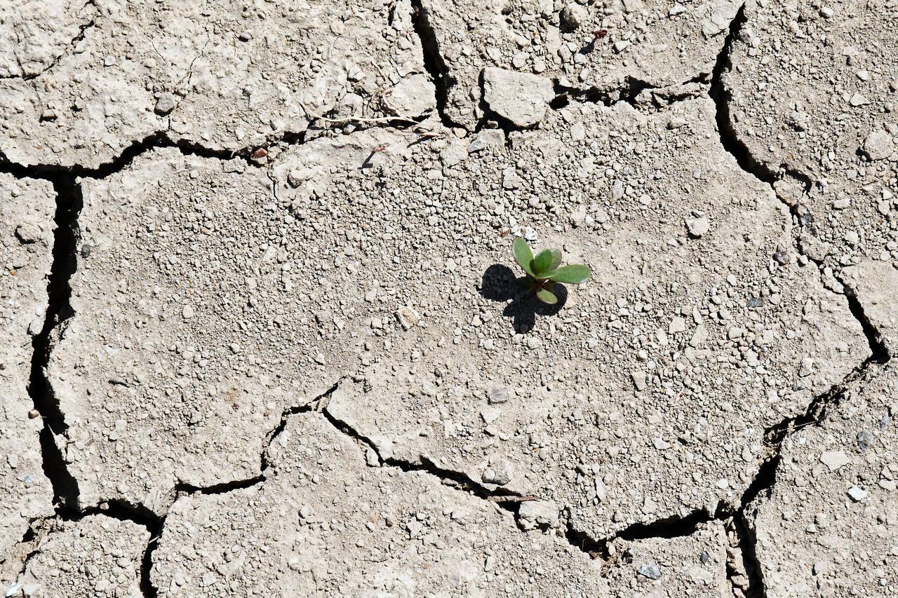 suša, klimatske promjene