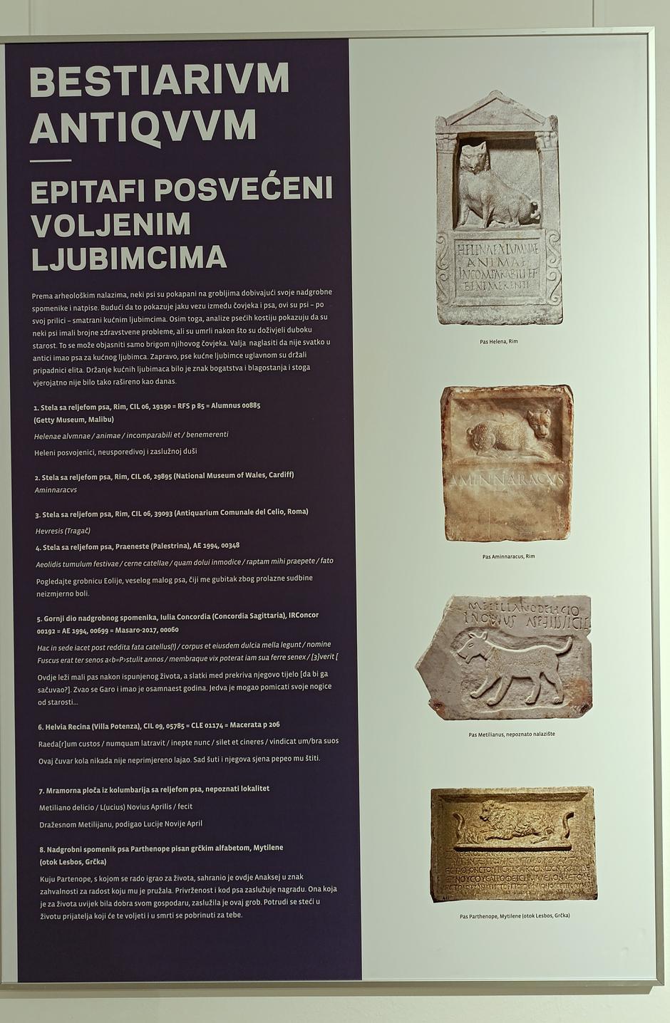 Noć muzeja Tomislavgrad