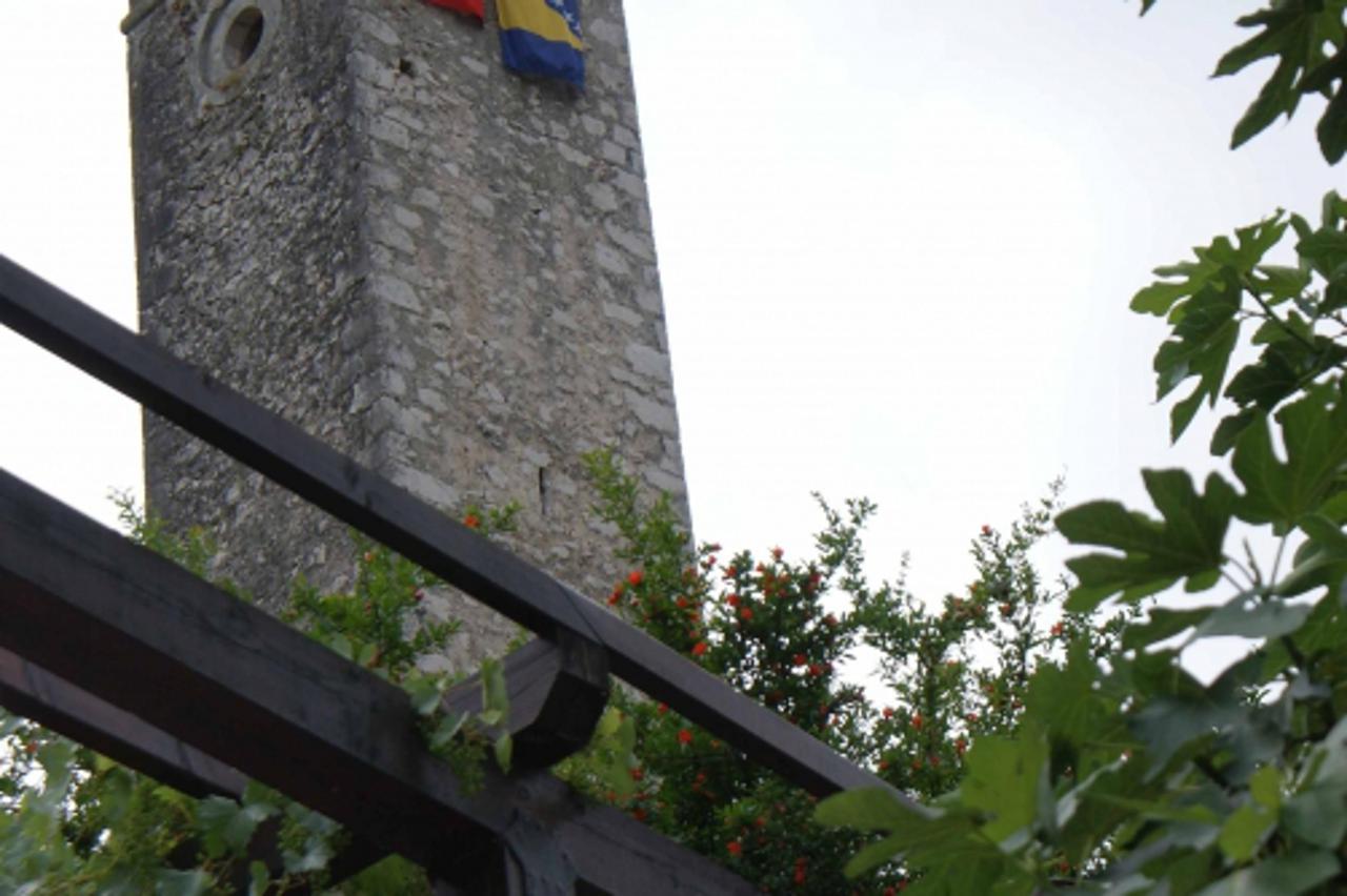 pocitelj
