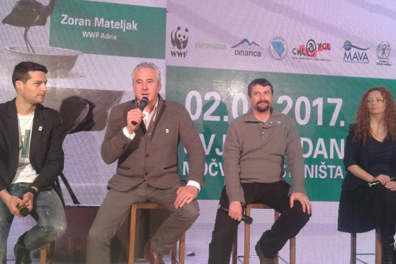 Močvare 