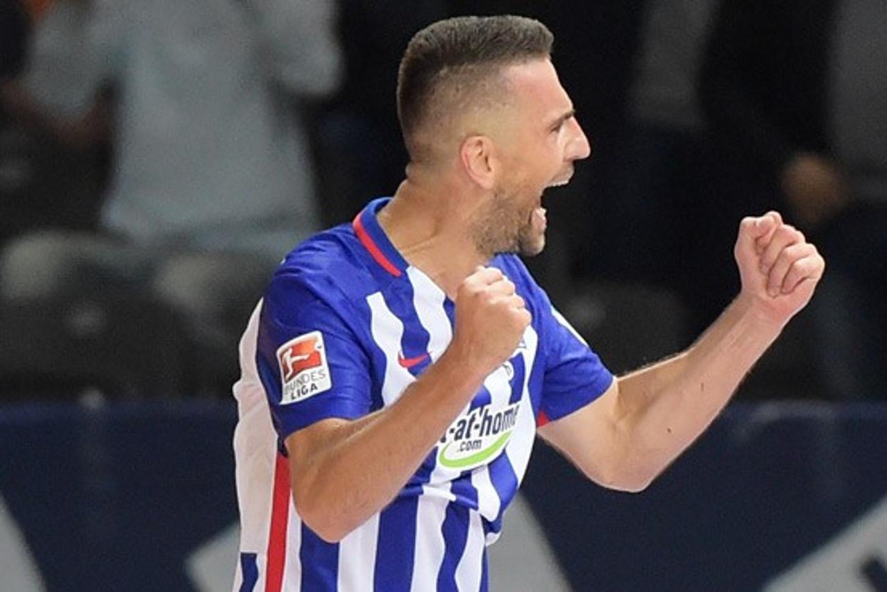 Vedad Ibisevic