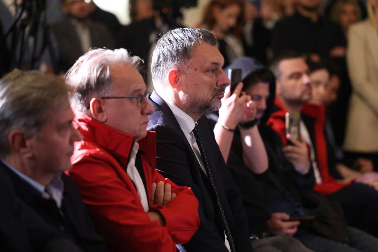 Nermin Nikšić, SDP