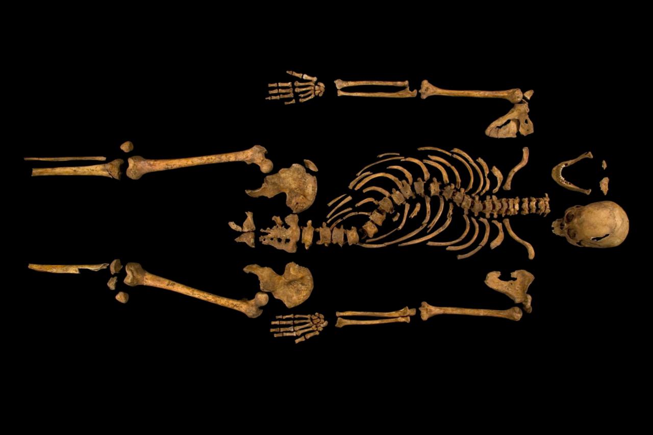 kostur,kralj richard III (1)