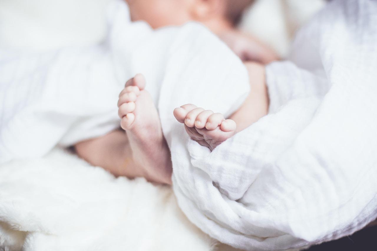 storyeditor/2026-01-22/baby-1866623_1280.jpg