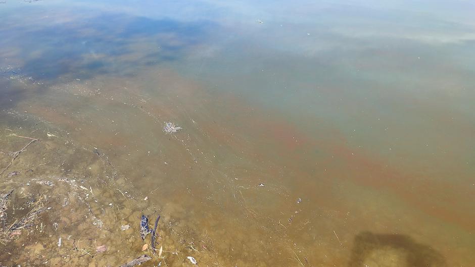 jablančko jezero - zagađeno
