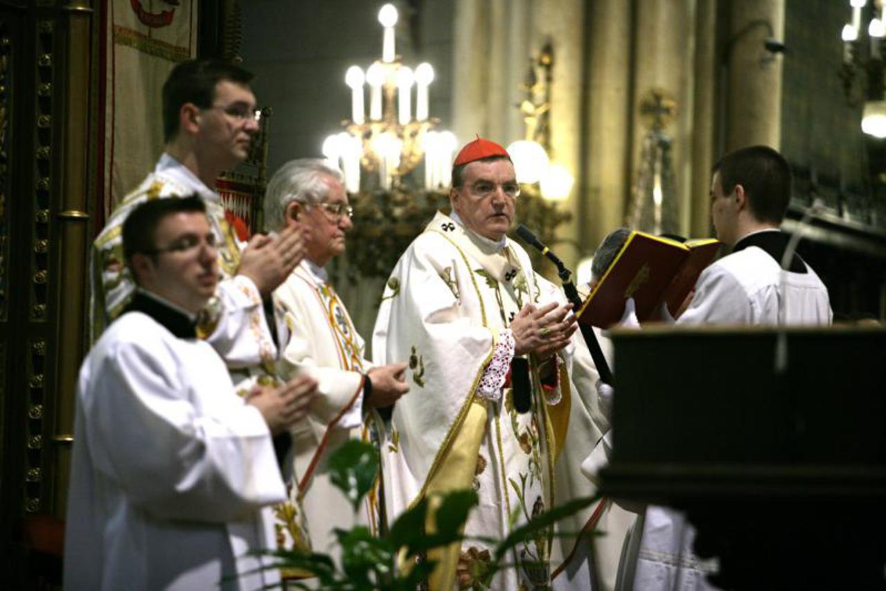 kardinal bozanić (1)