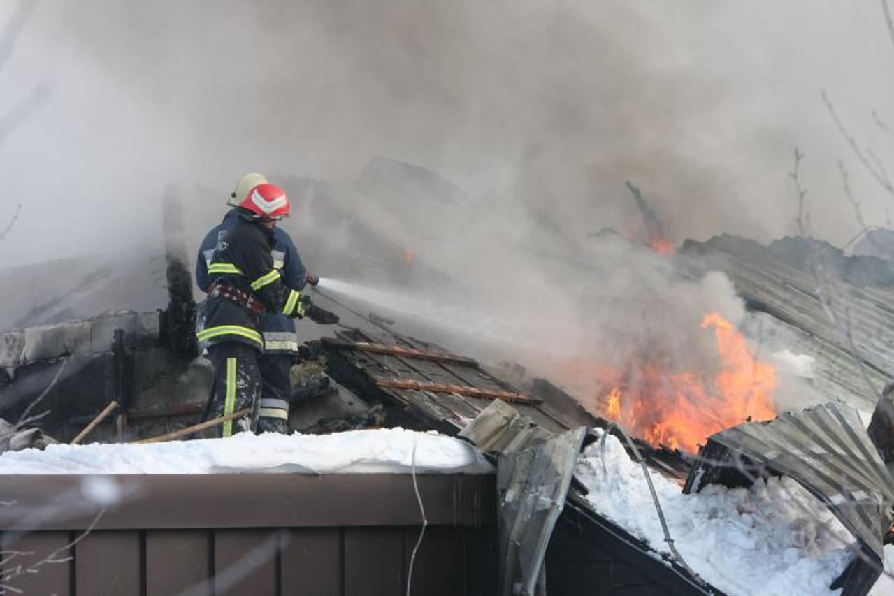 bjelolasica pozar (1)