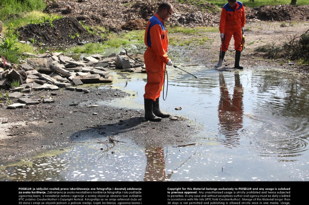 '08.05.2013., Zagreb - Radnici tvrtke Eko deratizacija poceli su danas unistavanje komaraca na jezeru Jarun. Zbog vremenskih uvjeta ove godine broj komaraca uz vlazna podrucja je jako veliki. Photo: P