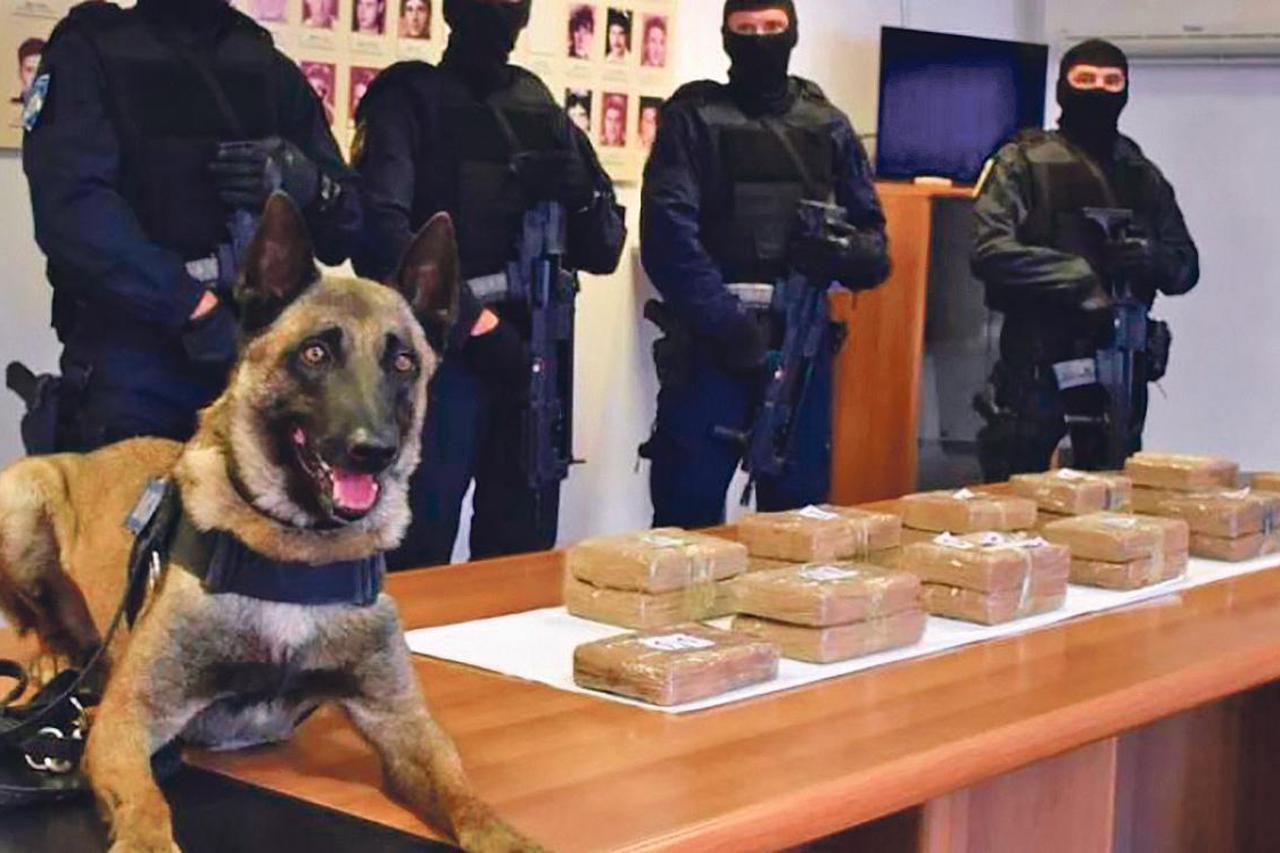 storyeditor/2023-10-26/droga.jpg