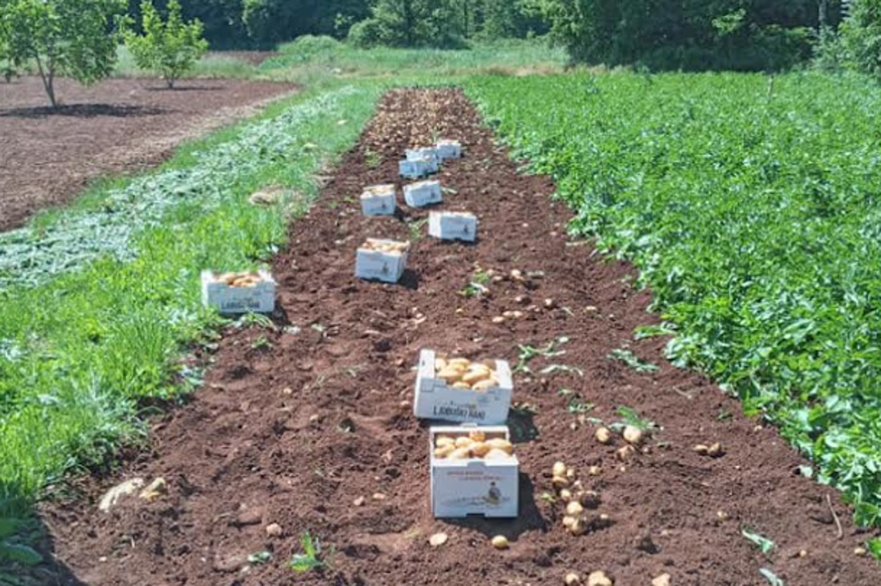 storyeditor/2024-05-13/rani.png