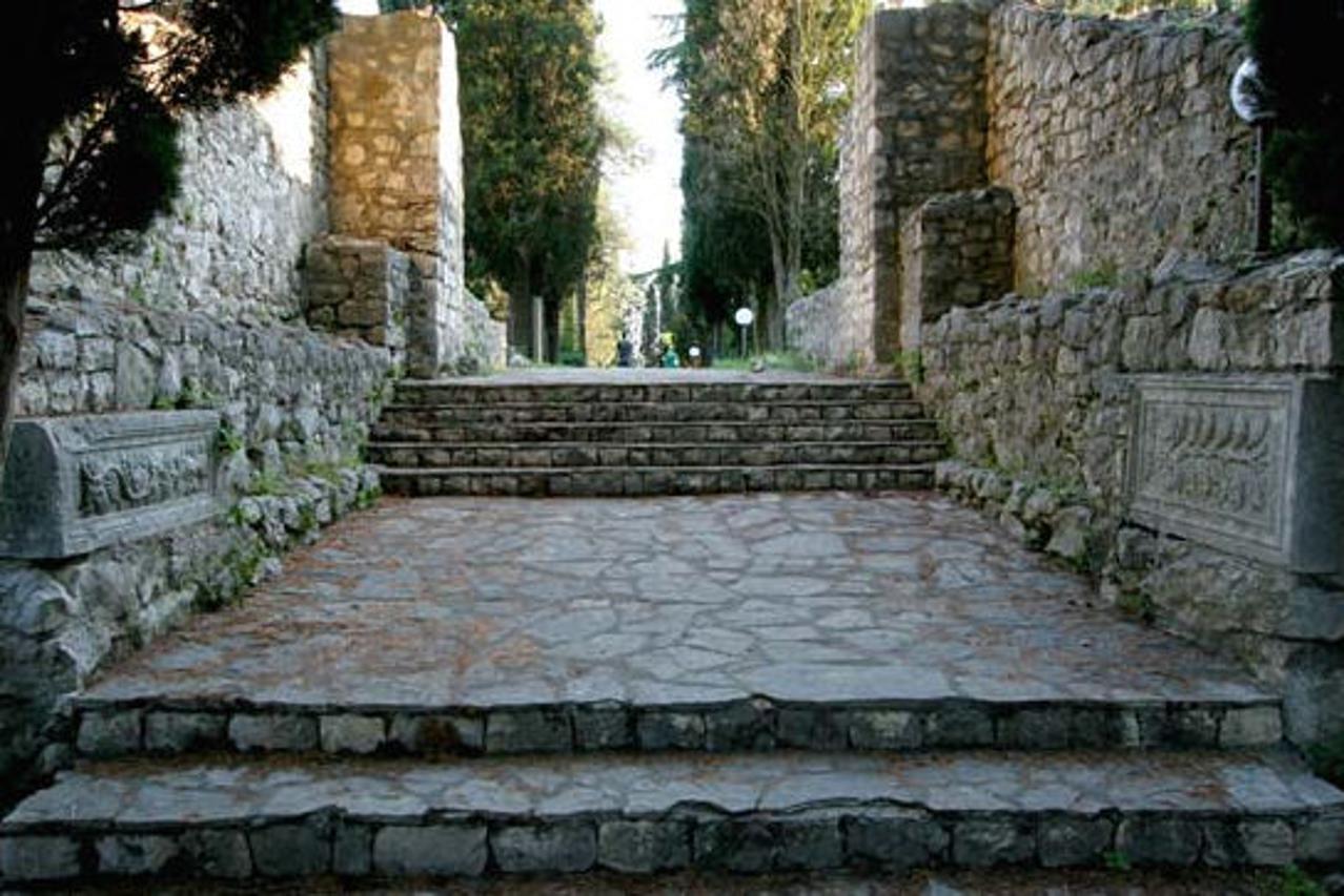 Mogorjelo 