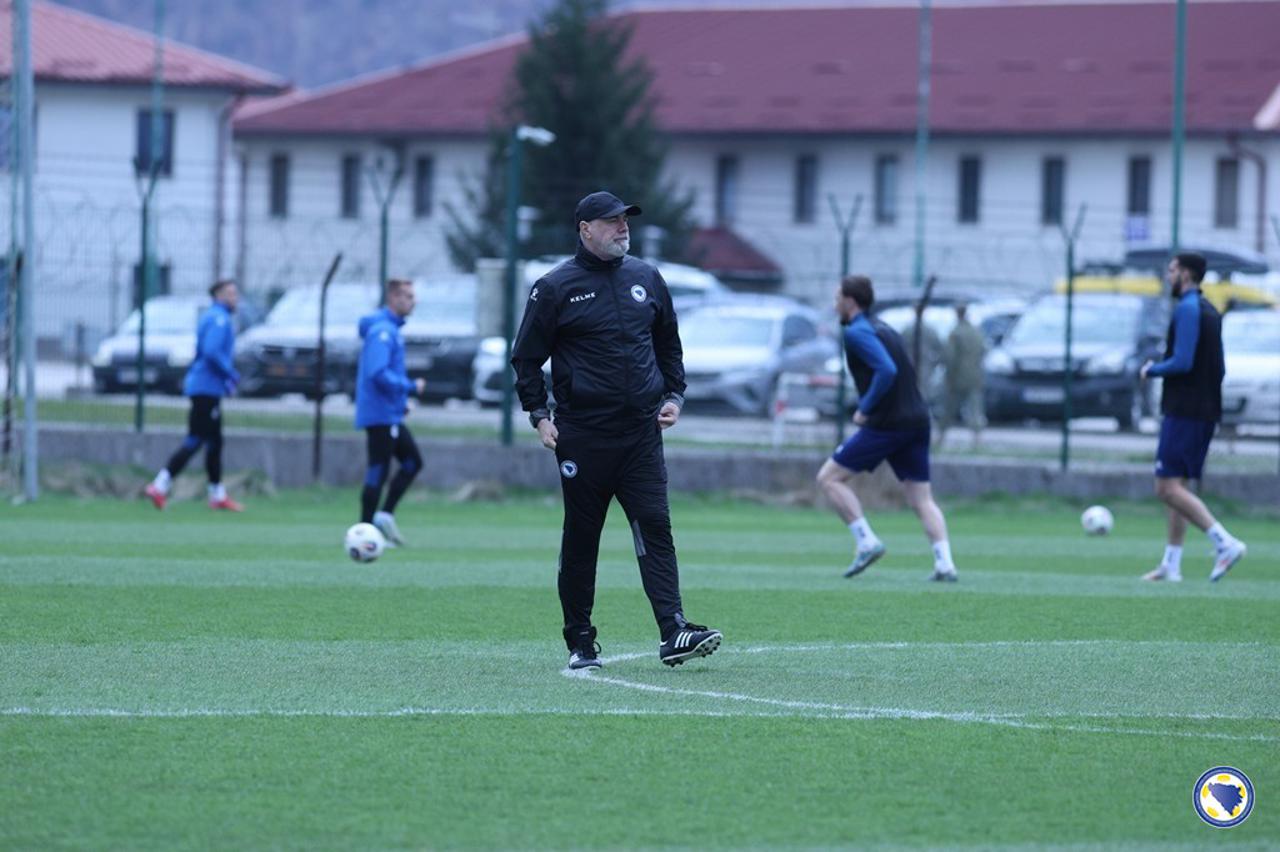Barbarez, reprezentacija BiH