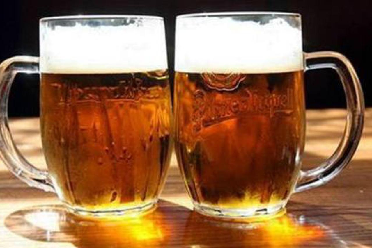 pivo