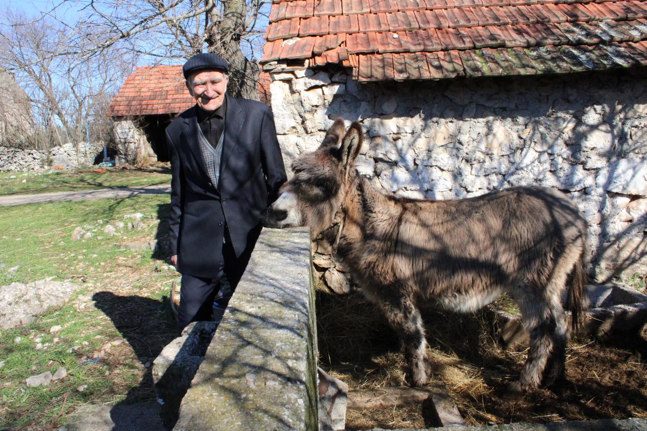 storyeditor/2024-02-15/Bijaca1-Nikica_i_njegov_vjerni_Duro__kako_glasi_ime_magarcu.JPG