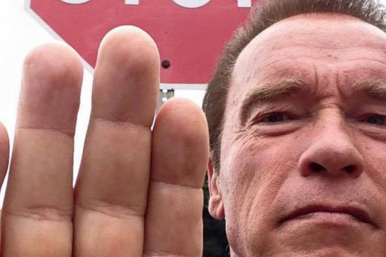 Arnold Schwarzenegger 