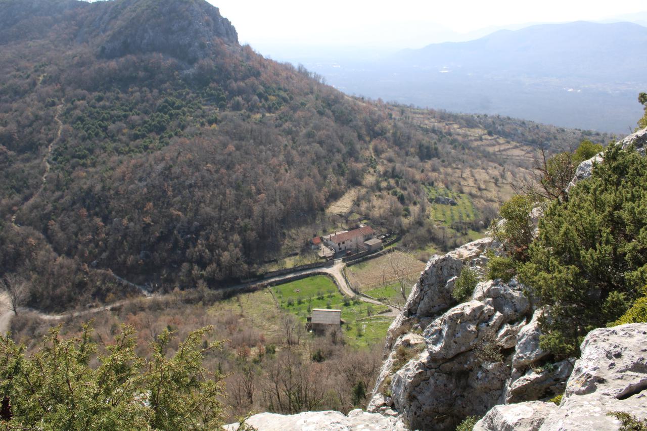 Zanimljivo otkriće