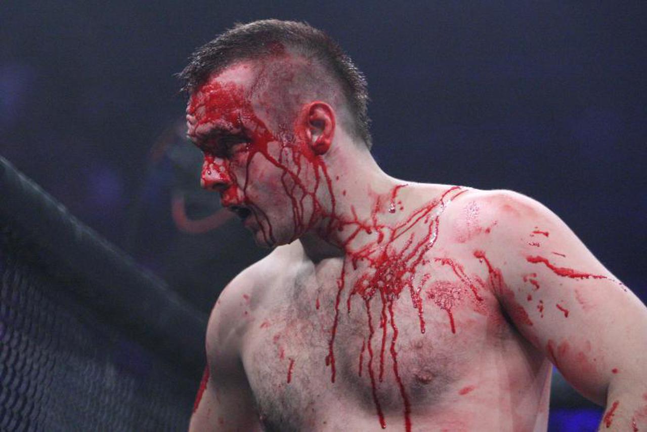 Hrvatska MMA liga (1)