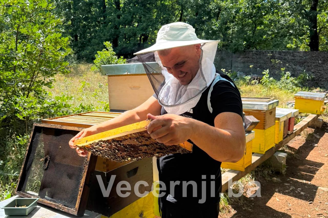 velimir begić pčelar