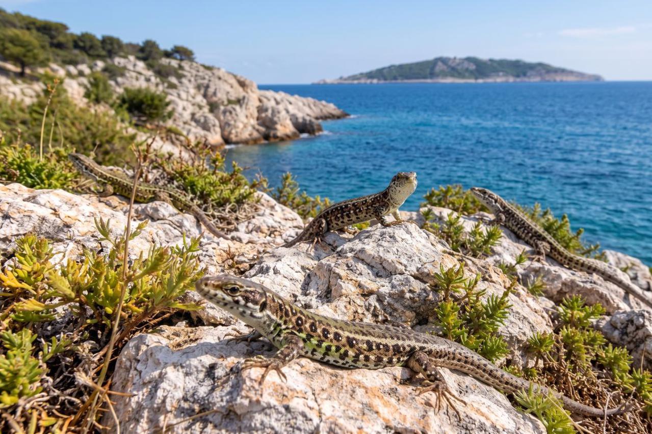 Gušteri