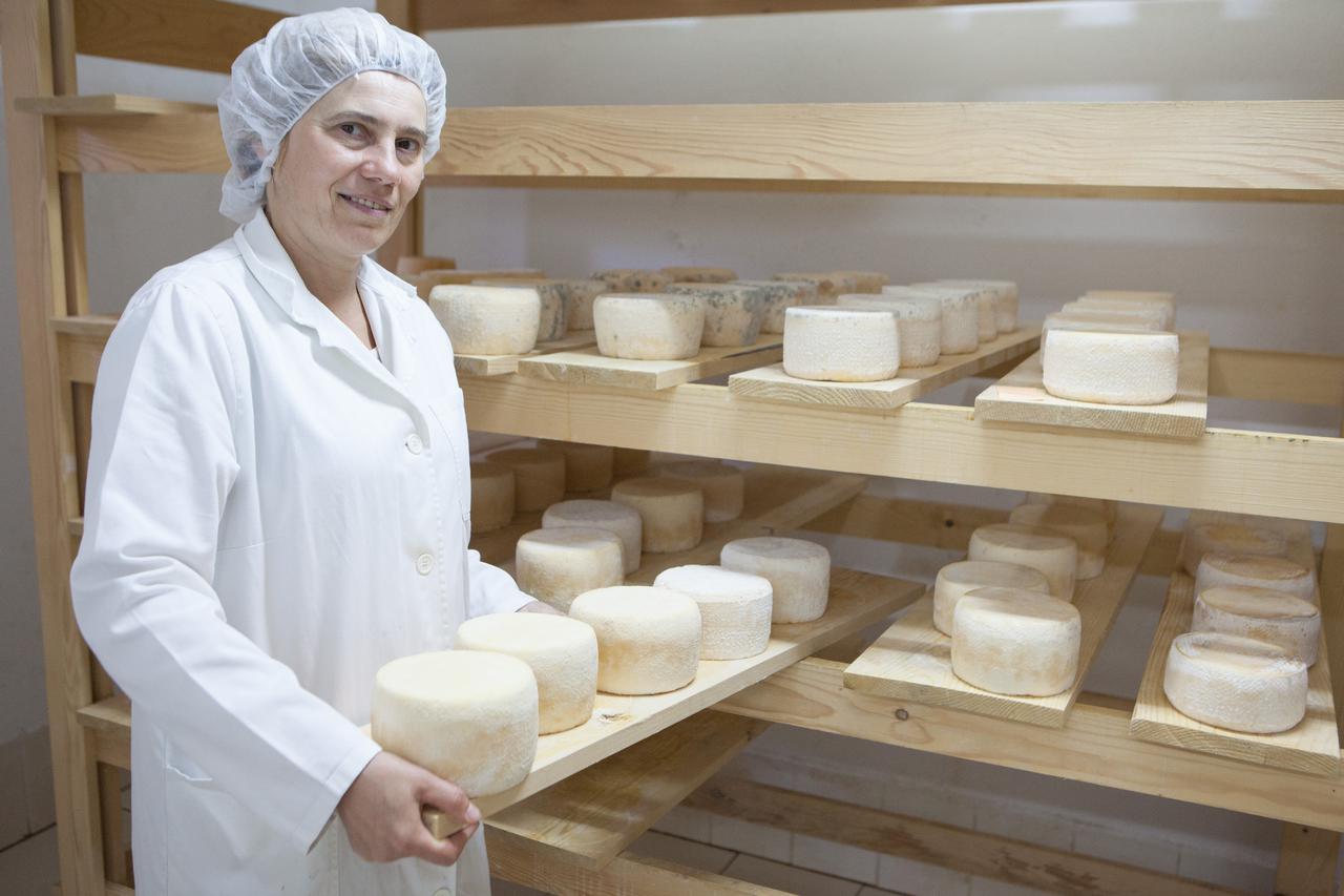 06.07.2015. Cabar - Obiteljsko poljoprivredno gospodarstvo Opg Pintar nalazi se u Gorskom kotaru u gradu Cabar. Preraduju mlijeko, rade sireve, uzgajaju voce, izraduju vocne proizvode i alkoholna pica na ekoloski i tradicionalan nacin u suradnji sa netakn