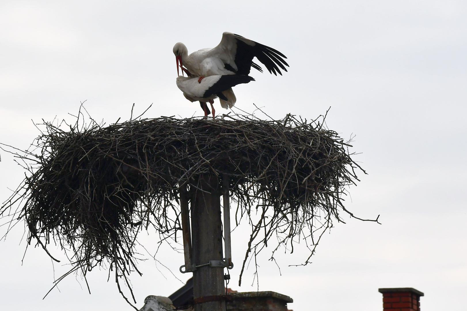 Ova godina ipak je drugačija. Klepetanov dvadeset i peti povratak postao je povod za nevjerojatnu gestu koja je stigla iz inozemstva i dirnula Stjepana do suza. 