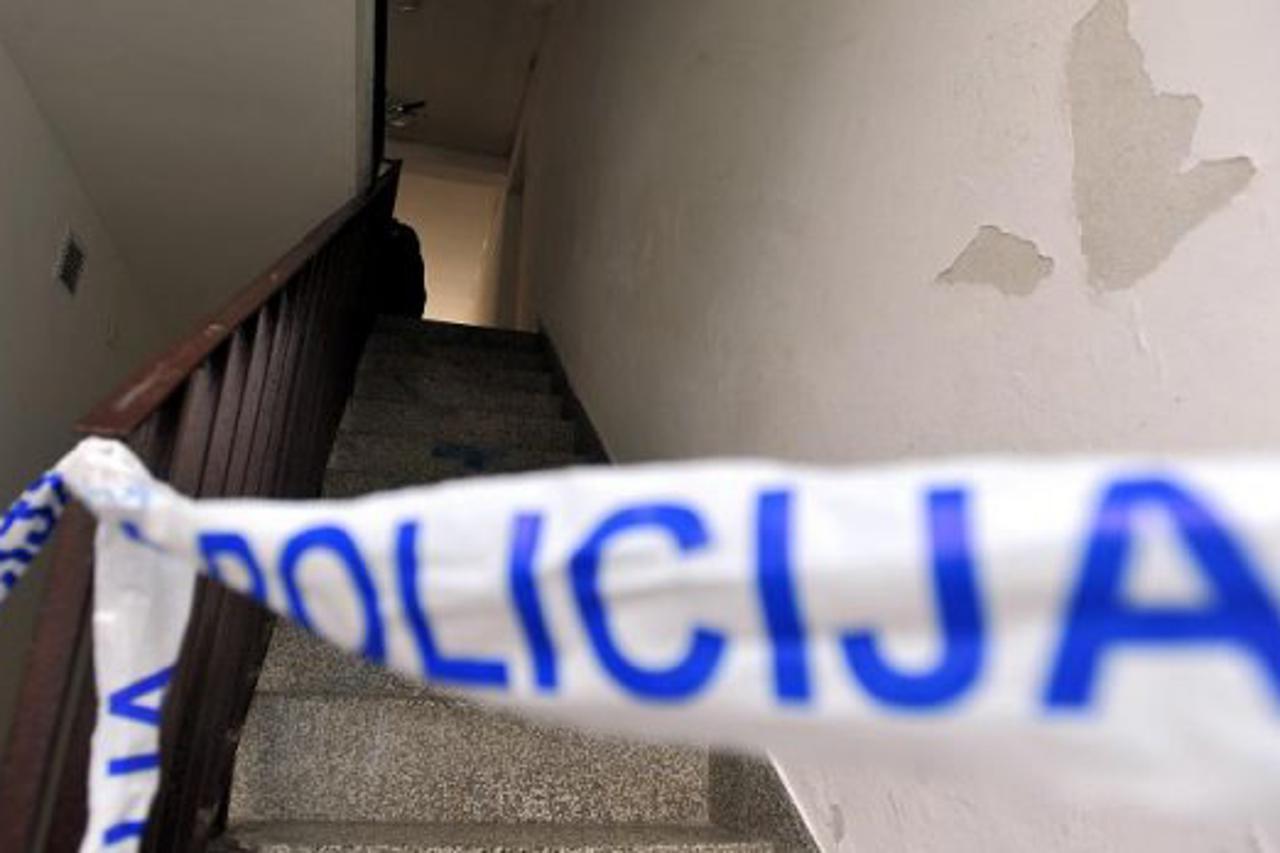 policija