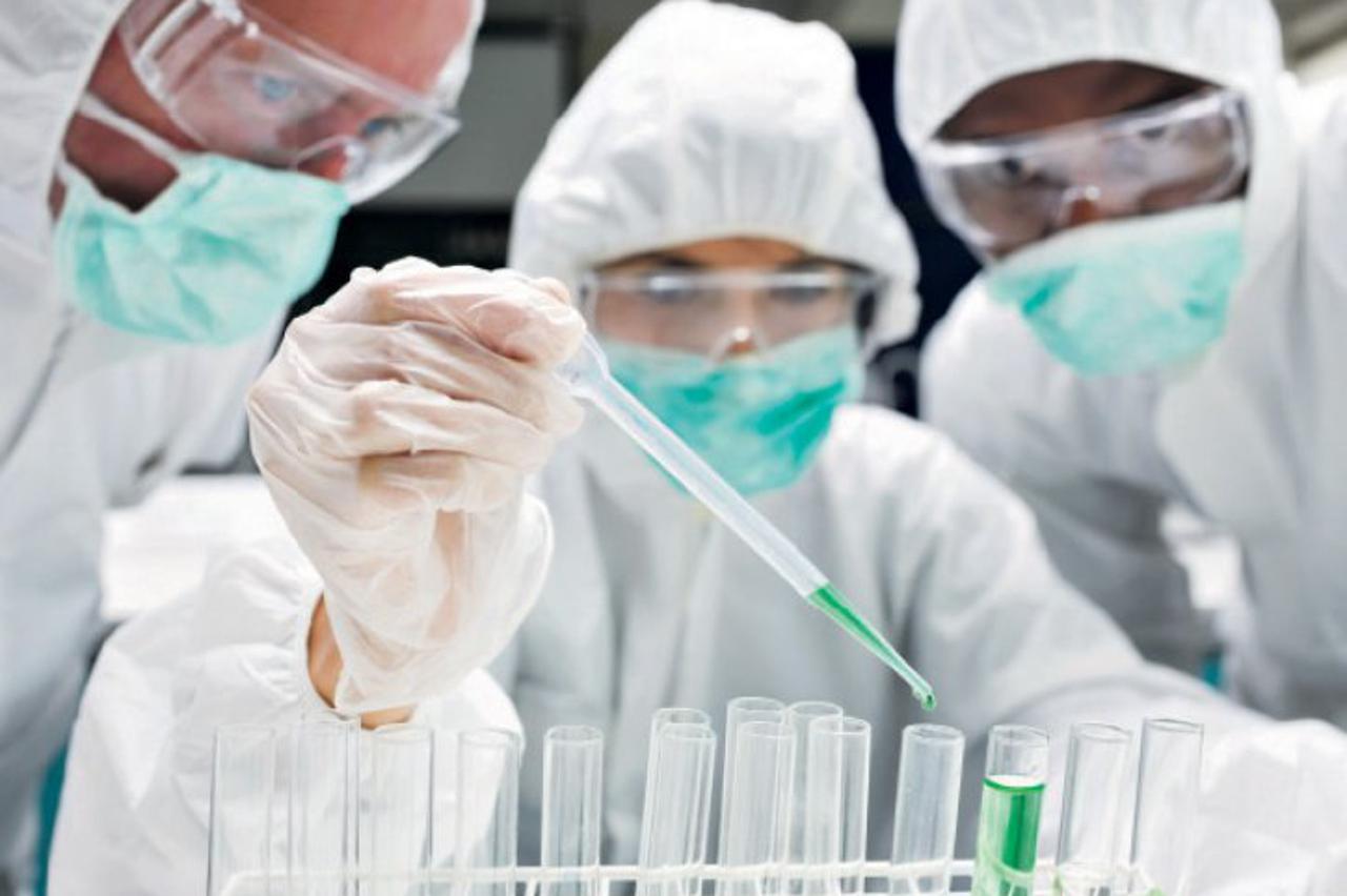 PALA POSLJEDNJA LINIJA OBRANE