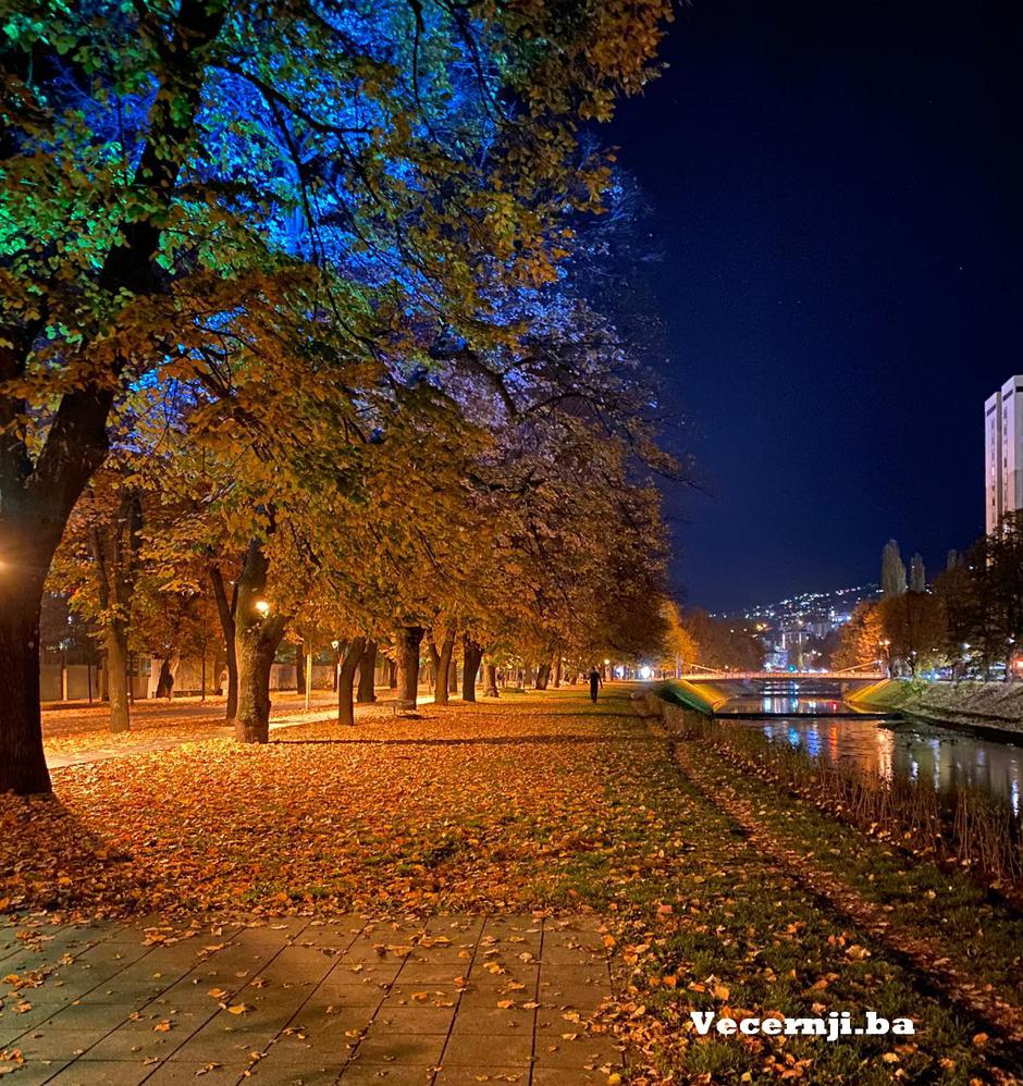 Vilsonovo