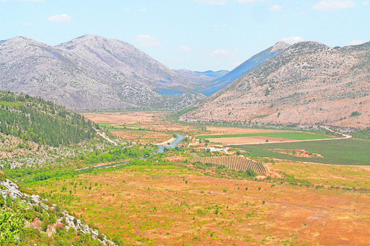 Ravno