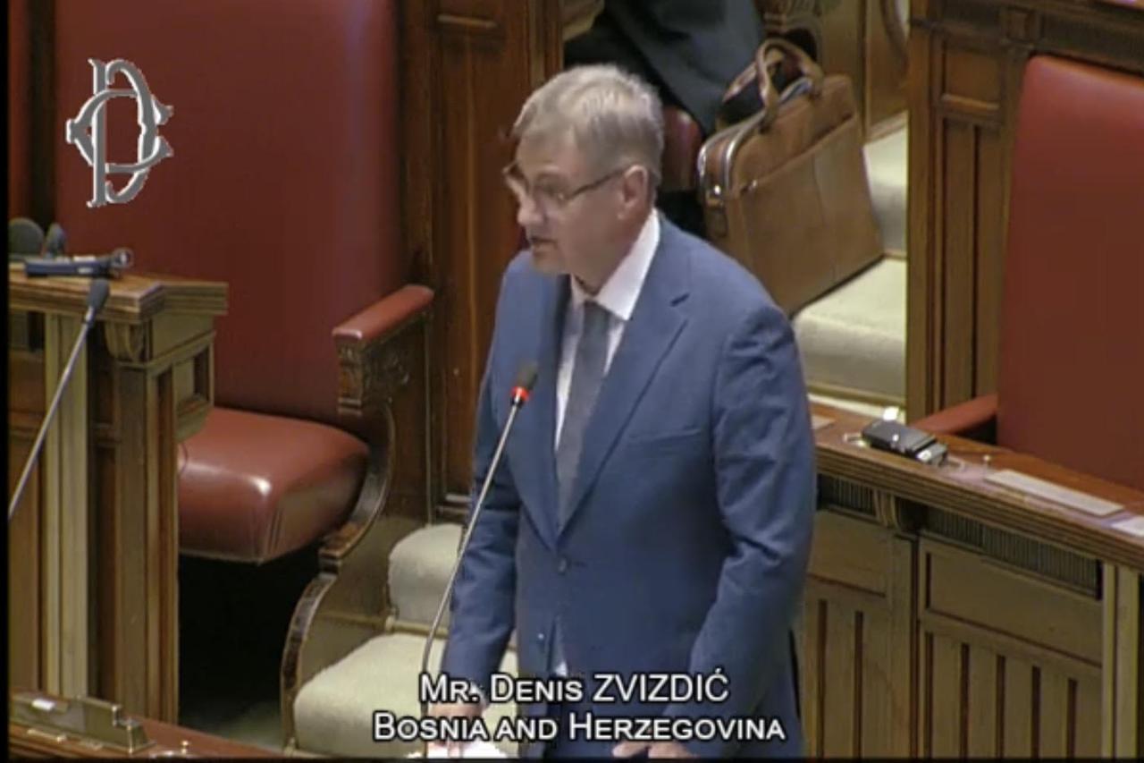Zvizdić u Rimu