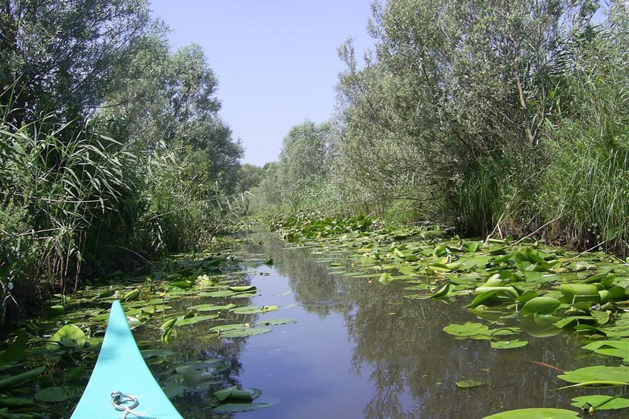 Hutovo blato