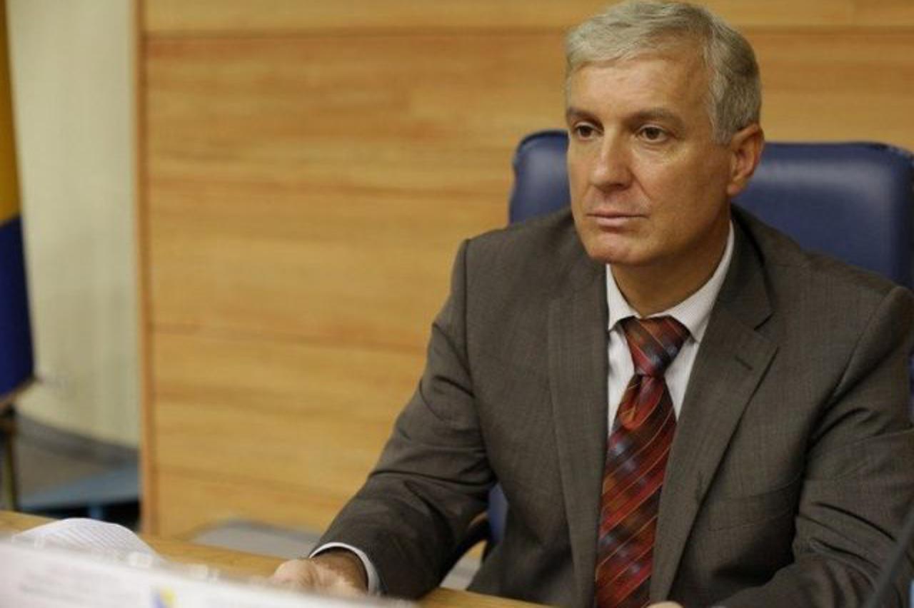 Ahmet Šantić